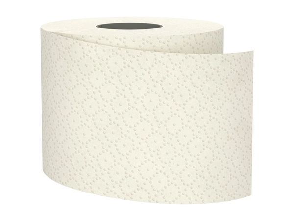 Een Toiletpapier BlackSatino GreenGrow CT10 3-laags 250vel naturel 079870 koop je bij NiceSupplies.nl