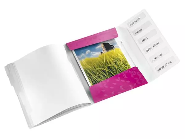 Een Sorteermap Leitz WOW 6 tabbladen PP roze koop je bij MV Kantoortechniek B.V.