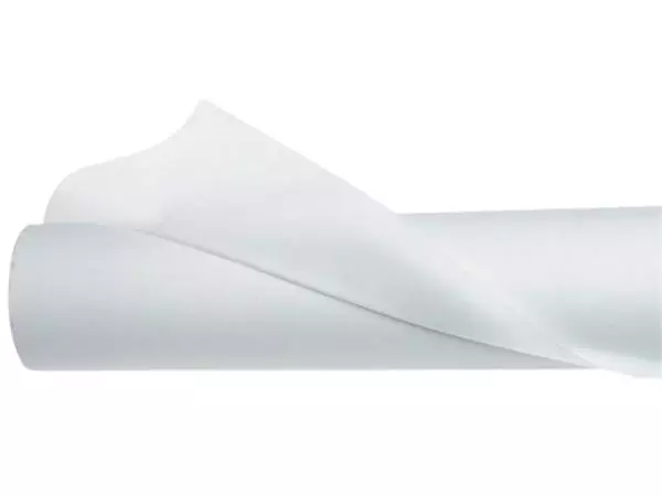 Een Patroontekenpapier rol 10mx100cm blanco koop je bij Totaal Kantoor Goeree