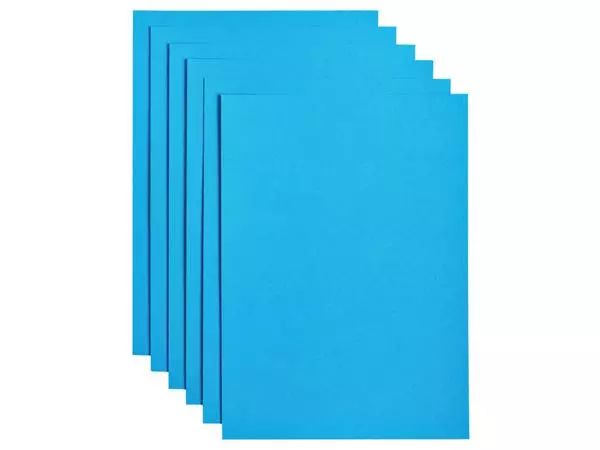 Een Kopieerpapier Papicolor A4 100gr 12vel hemelsblauw koop je bij Van Leeuwen Boeken- en kantoorartikelen