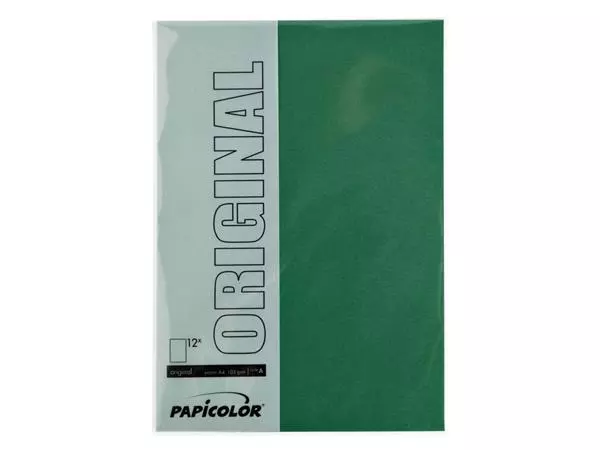 Een Kopieerpapier Papicolor A4 200gr 6 vel dennengroen koop je bij NiceSupplies.nl