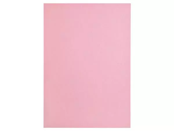 Een Kopieerpapier Papicolor A4 100gr 12 vel babyroze koop je bij NiceSupplies.nl