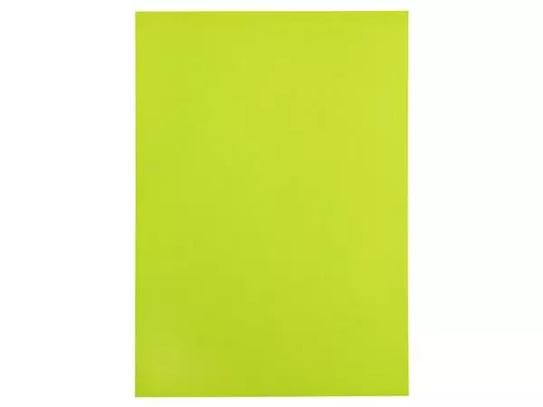 Een Kopieerpapier Papicolor A4 100gr 12 vel appelgroen koop je bij NiceSupplies.nl