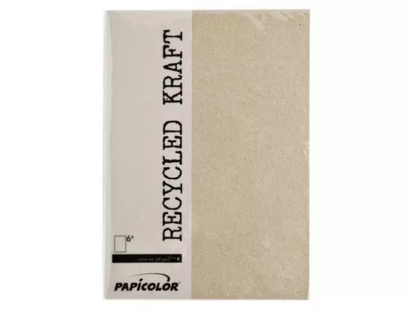 Een Kopieerpapier Papicolor A4 100gr 12 vel kraft grijs koop je bij Kantoorvakhandel van der Heijde