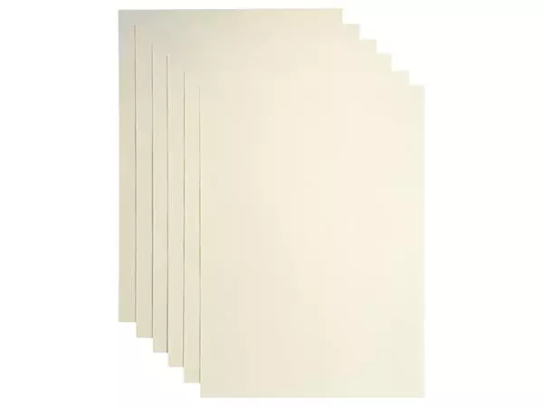 Een Kopieerpapier Papicolor A4 300gr 3vel metallic ivoor koop je bij Van Leeuwen Boeken- en kantoorartikelen