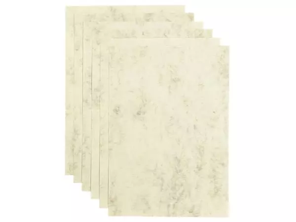 Een Kopieerpapier Papicolor A4 200gr 6vel marble ivoor koop je bij KantoorProfi België BV