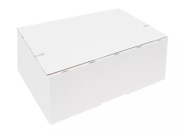 Een Postpakketbox IEZZY 4 305x215x110mm wit koop je bij EconOffice