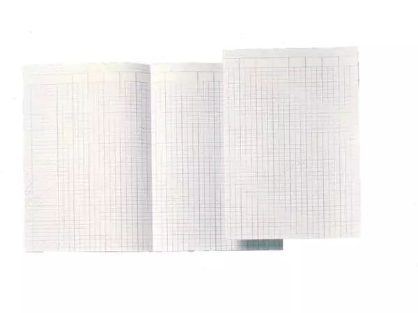 Een Accountantspapier Atlanta dubbel folio 14 kolommen 100vel koop je bij EconOffice