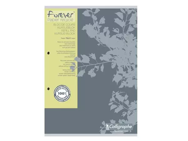 Een Cursusblok Clairfontaine Forever Calligraphe A4 ruit 5x5mm 2-gaats 200 pagina's 70gr grijs koop je bij EconOffice