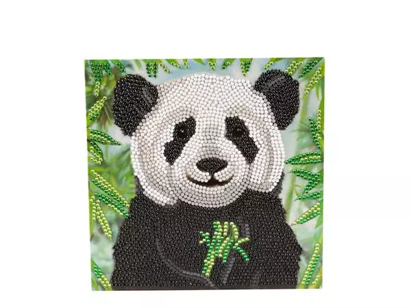 Diamondpainting Crystal Art Kaart baby panda 18x18cm