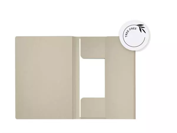 Een Dossiermap Secolor Tree-Free folio 3 kleppen 226gr grijs koop je bij EconOffice