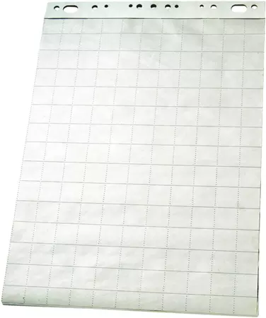 Een Flipoverpapier Esselte 65x100cm ruit/blanco 50vel koop je bij Alles voor uw kantoor