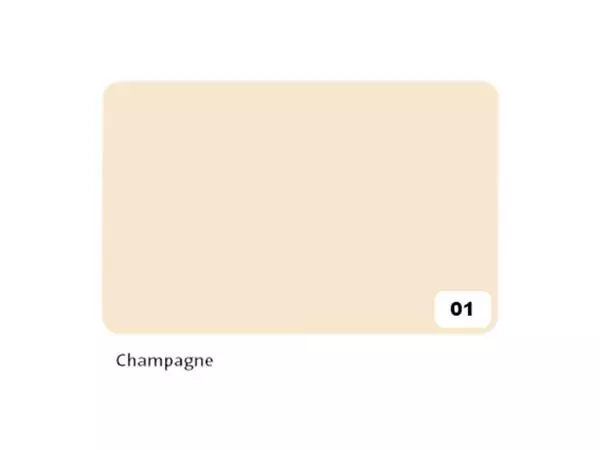 Een Fotokarton Folia 2-zijdig 50x70cm 300gr nr01 champagne koop je bij KantoorProfi België BV