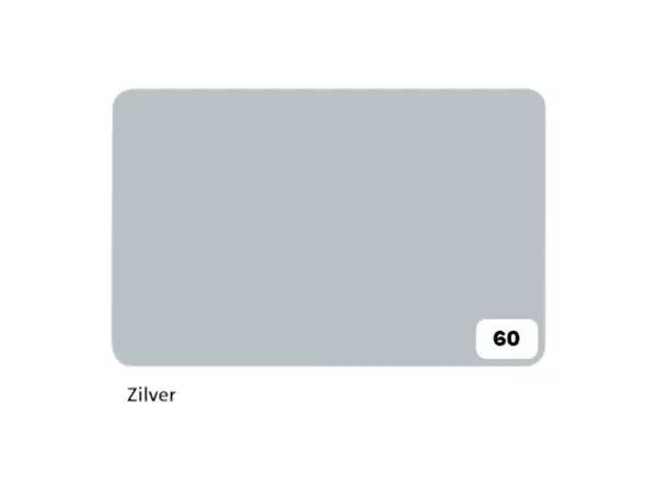 Een Fotokarton Folia 2-zijdig 50x70cm 300gr nr60 zilver koop je bij Totaal Kantoor Goeree