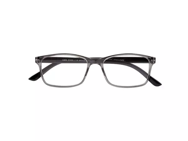 Een Lunettes de lecture I Need You +2.00 dpt Luca gris koop je bij Van Hoye Kantoor BV