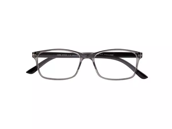 Een Lunettes de lecture I Need You +3.00 dpt Luca gris koop je bij Van Hoye Kantoor BV