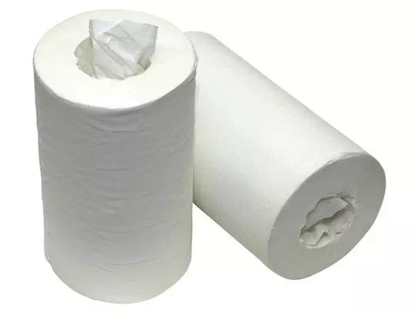 Een Poetspapier mini 1-laags 120m wit koop je bij L&N Partners voor Partners B.V.