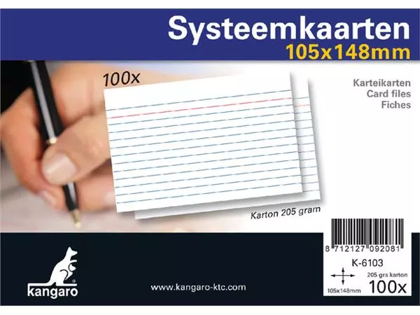 Een Systeemkaarten A6 105x148mm 100 stuks koop je bij Totaal Kantoor Goeree