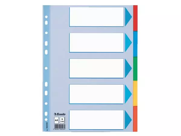 Een Tabbladen Esselte Standaard A4 5-delig karton 11-rings met voorblad assorti koop je bij KantoorProfi België BV