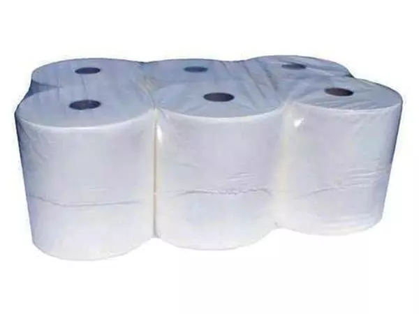 Een Toiletpapier Cleaninq Mini Jumbo 2laags 170m 12rollen koop je bij NiceSupplies.nl