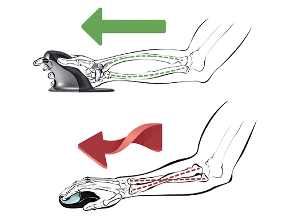 Een Ergonomische Muis Fellowes Penguin draadloos medium koop je bij Van Leeuwen Boeken- en kantoorartikelen