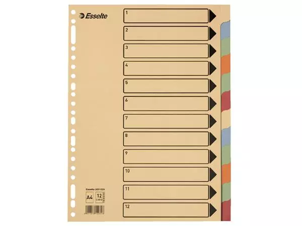 Een Tabbladen Esselte Premium A4 12-delig karton 23-rings assorti koop je bij KantoorProfi België BV