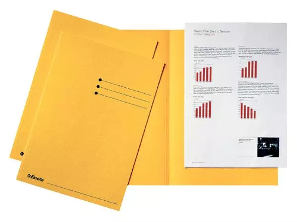 Een Vouwmap Esselte A4 manilla 180gr geel koop je bij Van Leeuwen Boeken- en kantoorartikelen