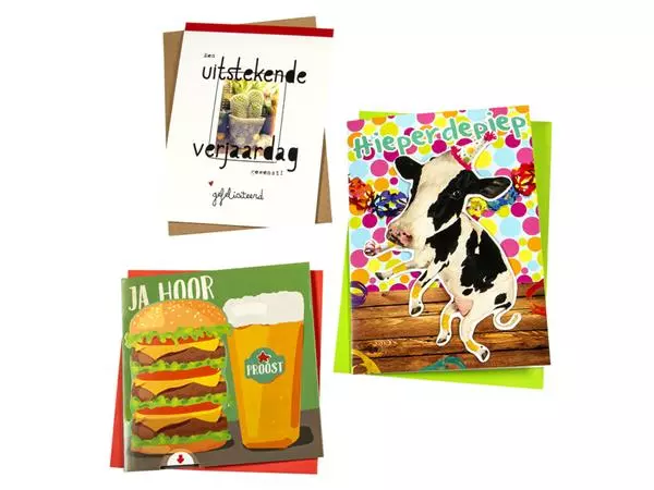 Een Wenskaart Paperclip navulset verjaardag humor 12 kaarten koop je bij Van Leeuwen Boeken- en kantoorartikelen