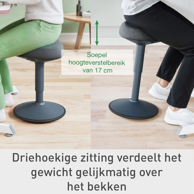 Een Actieve zitkruk Leitz Ergo met comfortzitting koop je bij KantoorProfi België BV