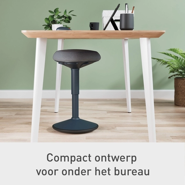 Een Actieve zitkruk Leitz Ergo met comfortzitting koop je bij KantoorProfi België BV