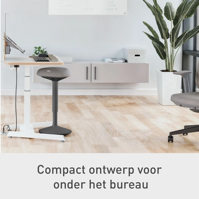 Een Actieve stakruk Leitz Ergo met comfortzitting koop je bij KantoorProfi België BV