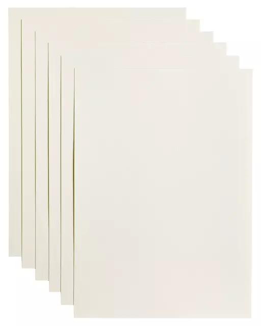 Een Kopieerpapier Papicolor A4 200gr 6vel anjerwit koop je bij Van Leeuwen Boeken- en kantoorartikelen