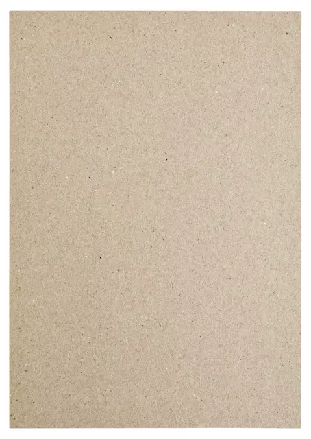 Een Kopieerpapier Papicolor A4 100gr 12vel kraft grijs koop je bij Van Leeuwen Boeken- en kantoorartikelen