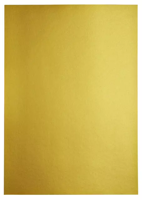 Een Kopieerpapier Papicolor A4 120gr 6vel metallic goud koop je bij Van Leeuwen Boeken- en kantoorartikelen