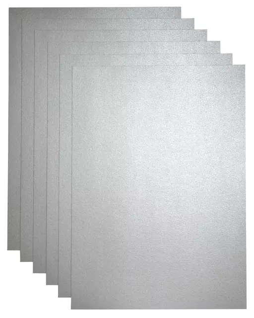 Een Kopieerpapier Papicolor A4 300gr 3vel metallic zilver koop je bij Van Leeuwen Boeken- en kantoorartikelen