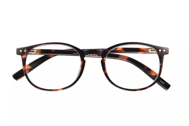 Een Leesbril I Need You Junior New +2.50 dpt havanna koop je bij L&N Partners voor Partners B.V.