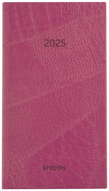 Een Agenda 2025 Brepols Optivision Pocket Lucca 7dagen/2pagina's assorti koop je bij De Angelot