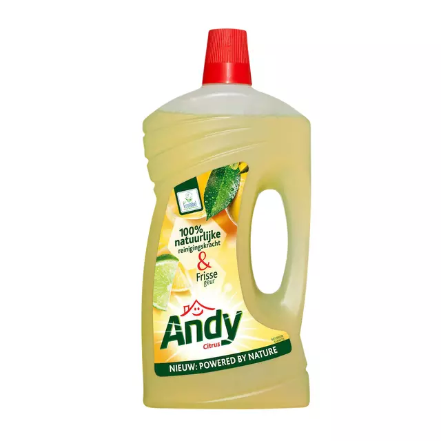 Een Allesreiniger Andy citroen fris 1 liter koop je bij EconOffice