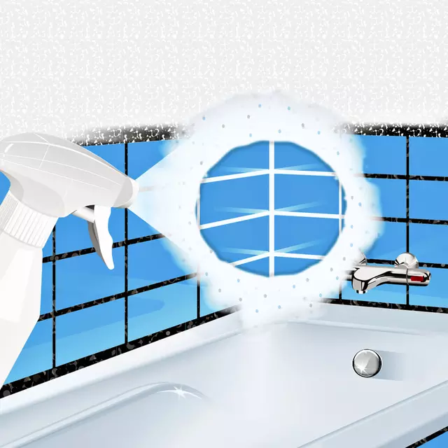 Een Schimmelreiniger HG badkamer spray 500ml koop je bij L&N Partners voor Partners B.V.