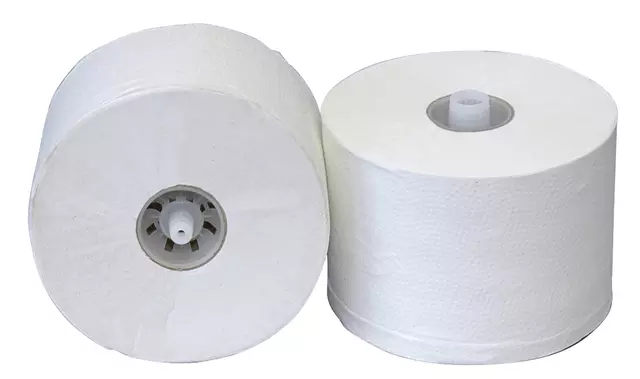 Een Toiletpapier doprol 2l recycled 100m wit koop je bij Van Hoye Kantoor BV