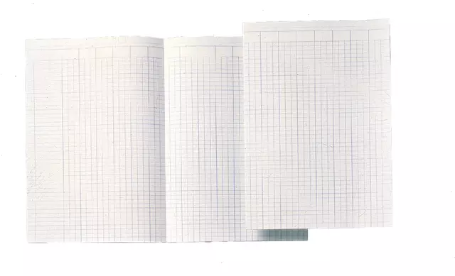 Een Accountantspapier Atlanta dubbel folio 14 kolommen 100vel koop je bij KantoorProfi België BV