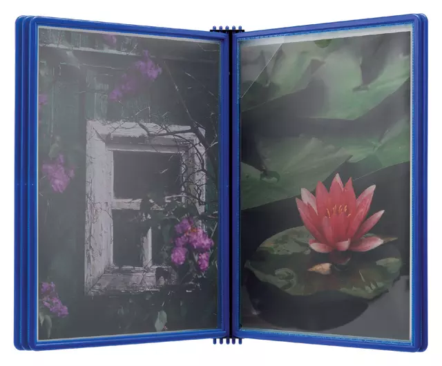Een Wandelement Flex-O-Frame met 5 tassen blauw koop je bij Van Leeuwen Boeken- en kantoorartikelen