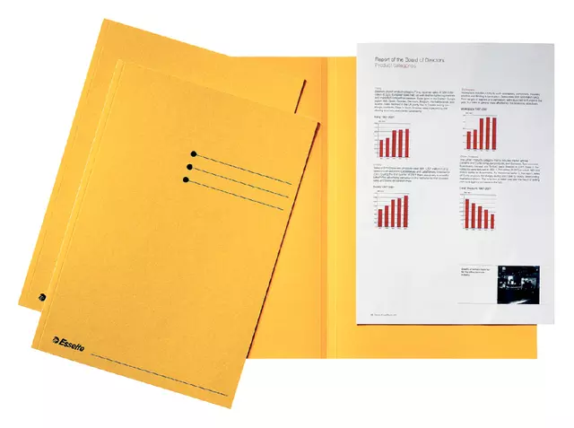 Een Vouwmap Esselte A4 manilla 180gr geel koop je bij EconOffice