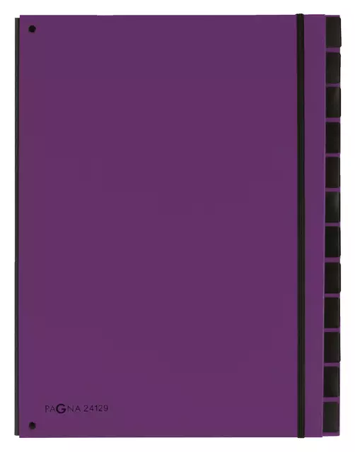 Een Sorteermap Pagna Trend A4 12 tabs lila koop je bij L&N Partners voor Partners B.V.