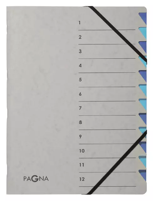 Een Sorteermap Pagna Easy A4 12 tabs lichtblauw/donkerblauw koop je bij L&N Partners voor Partners B.V.