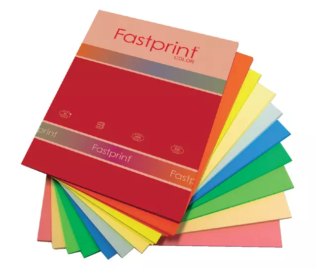 Een Kopieerpapier Fastprint A4 80gr 10kleuren x25vel 250vel koop je bij Van Hoye Kantoor BV