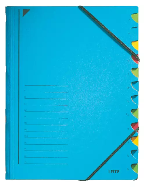 Een Sorteermap Leitz 12 tabbladen karton blauw koop je bij KantoorProfi België BV