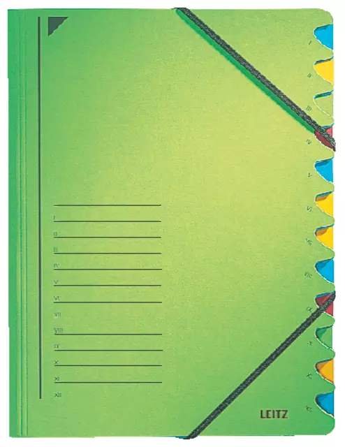 Een Sorteermap Leitz 12 tabbladen karton groen koop je bij KantoorProfi België BV