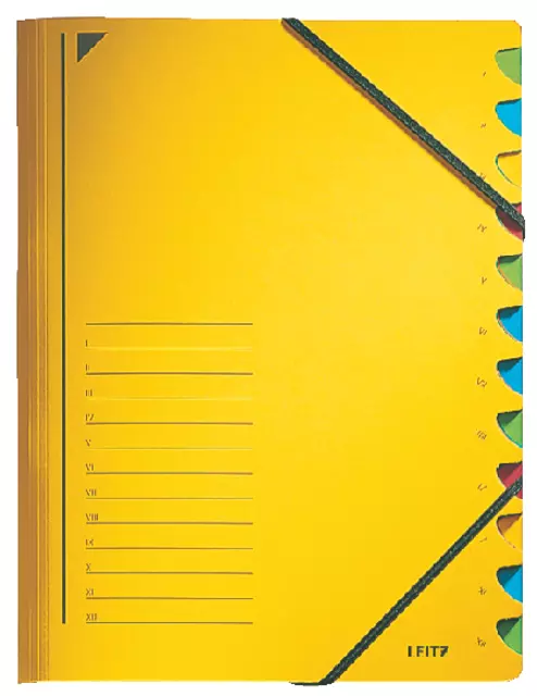 Een Sorteermap Leitz 12 tabbladen karton geel koop je bij Van Leeuwen Boeken- en kantoorartikelen