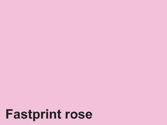 Een Kopieerpapier Fastprint A4 80gr roze 500vel koop je bij KantoorProfi België BV